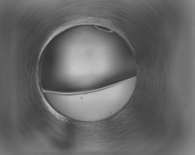 X0000054381531200507290844