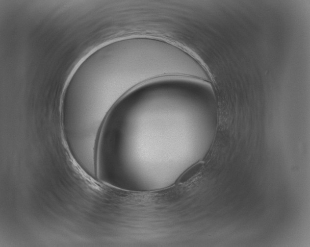 X0000054381532200507290844