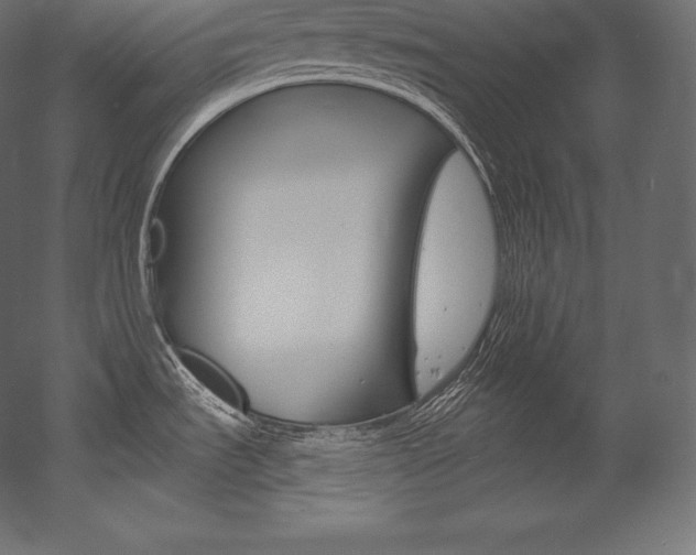 X0000054381535200507290844
