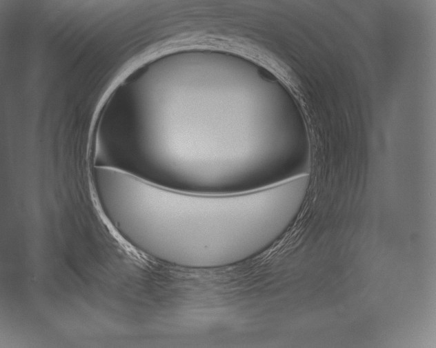 X0000054381536200507290844