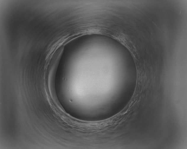 X0000054380001200507291130