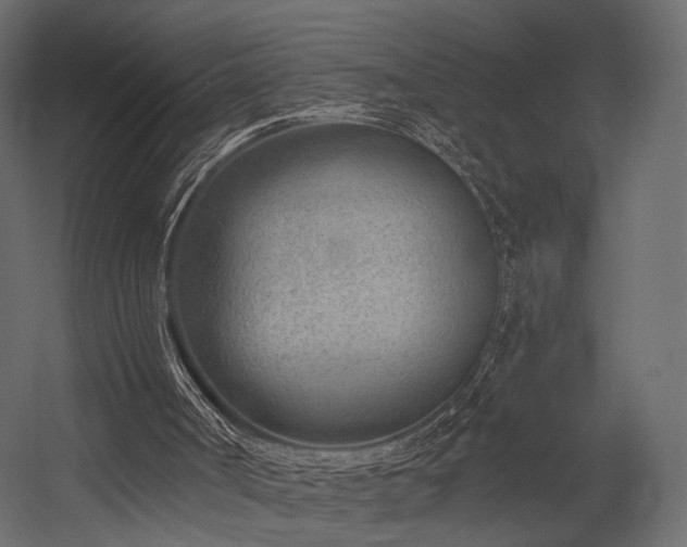 X0000054380002200507291129