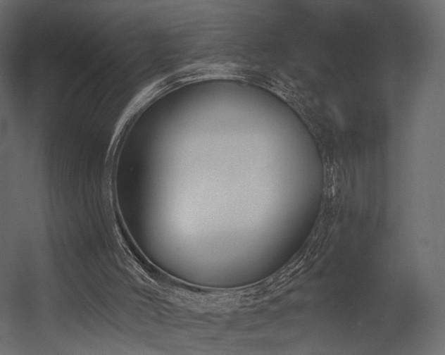 X0000054380004200507291129