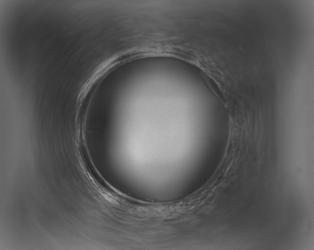 X0000054380005200507291129