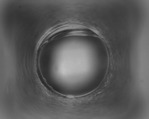 X0000054380007200507291129