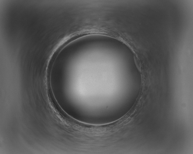 X0000054380008200507291129