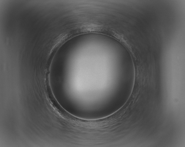 X0000054380010200507291129