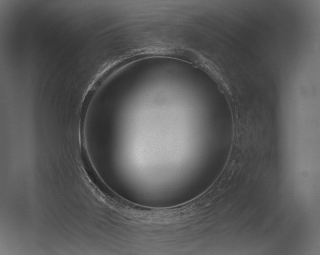 X0000054380011200507291129