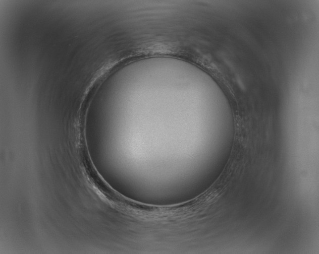 X0000054380012200507291129