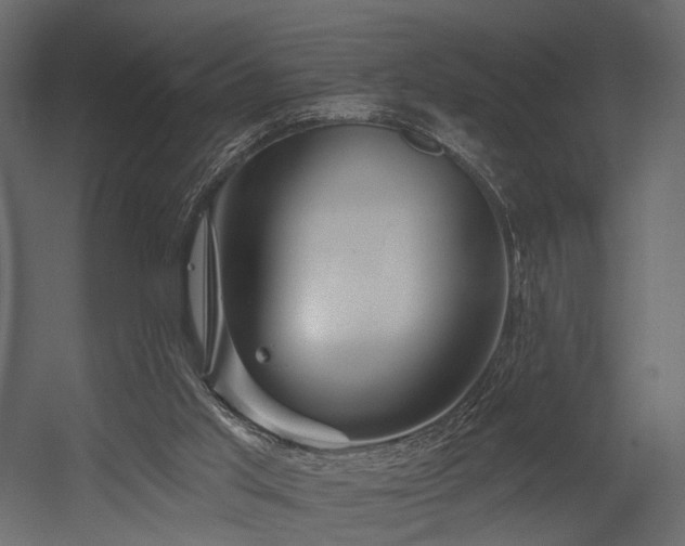X0000054380013200507291129
