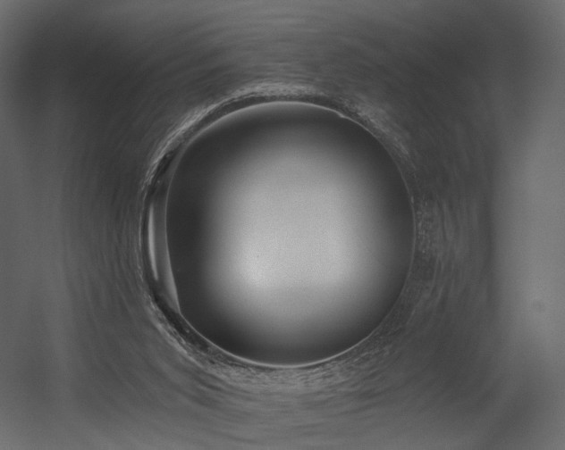 X0000054380015200507291129
