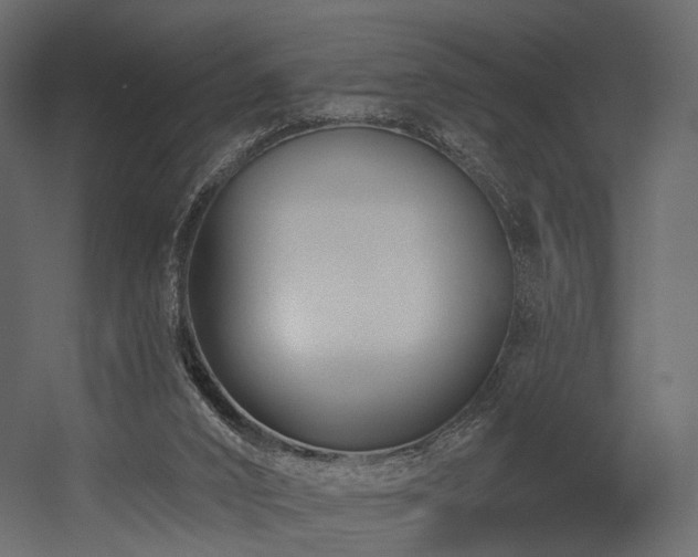 X0000054380016200507291129