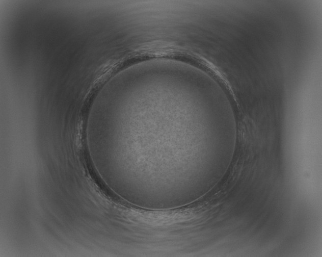 X0000054380018200507291129