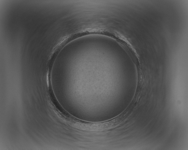 X0000054380019200507291129