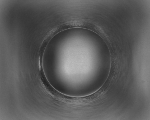 X0000054380020200507291129