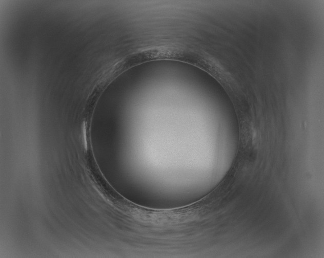 X0000054380022200507291129
