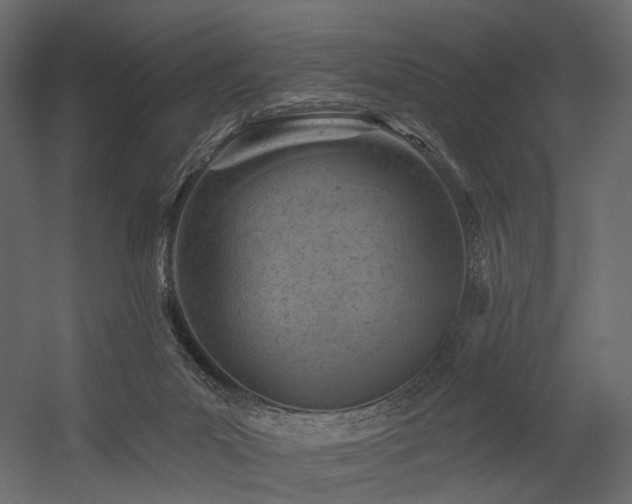X0000054380023200507291129
