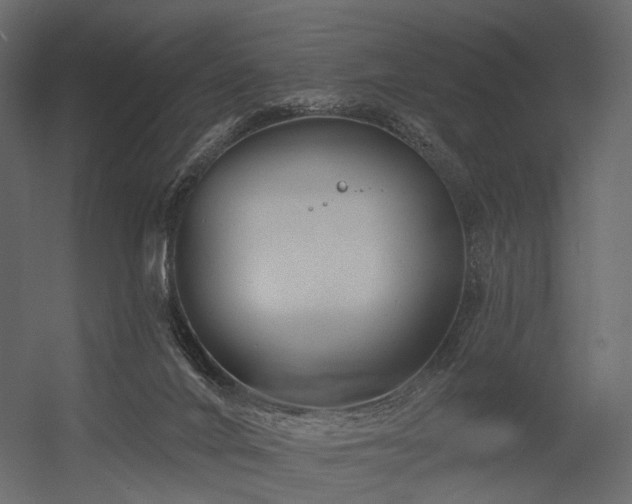 X0000054380024200507291129