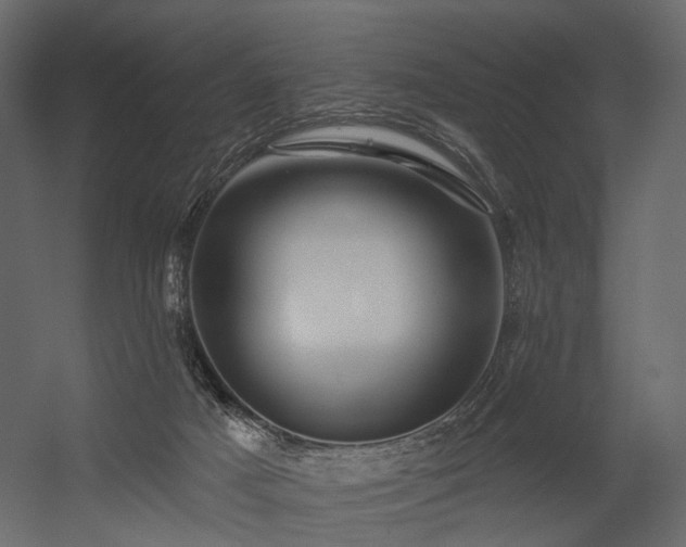 X0000054380025200507291129