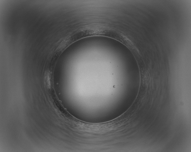 X0000054380026200507291129