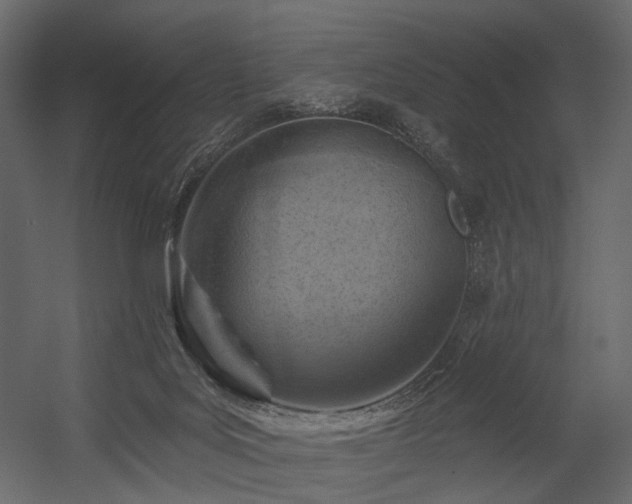 X0000054380027200507291129