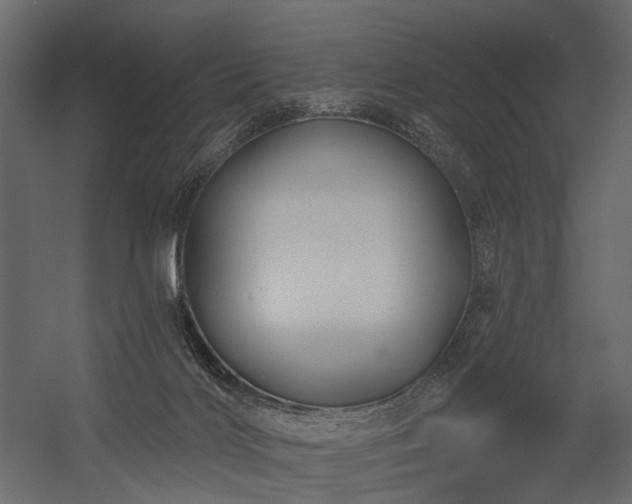 X0000054380028200507291129