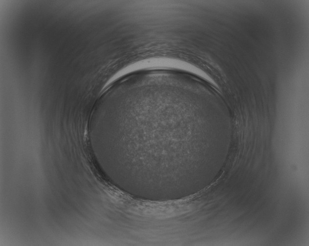 X0000054380029200507291129