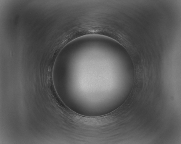 X0000054380030200507291129
