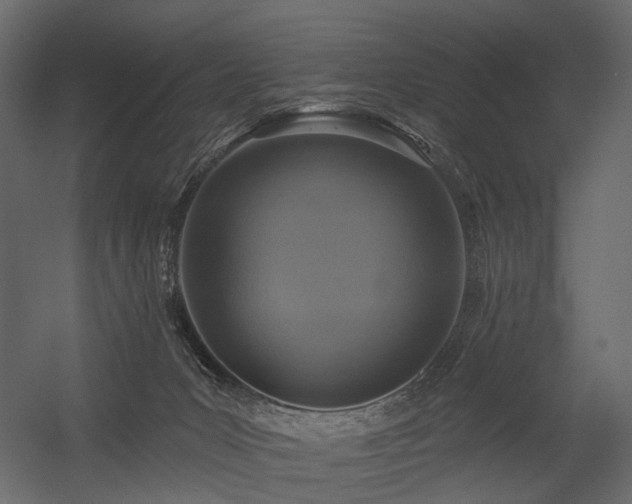 X0000054380031200507291129