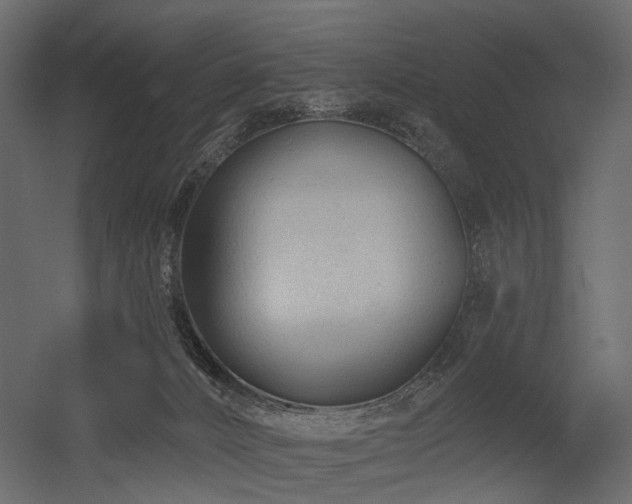X0000054380032200507291129