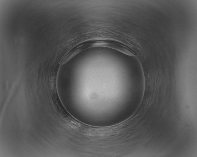 X0000054380033200507291129