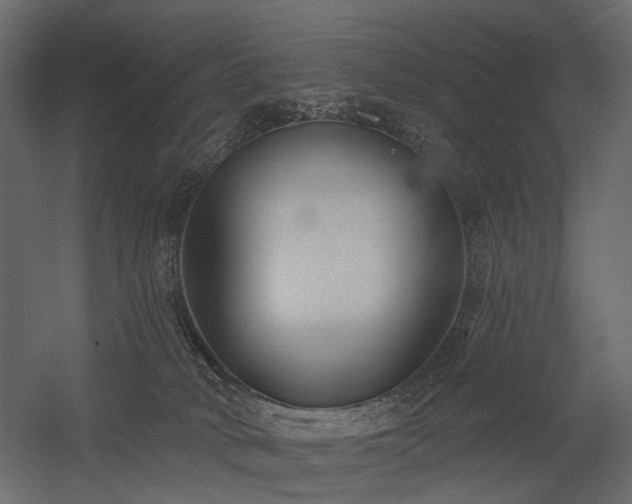 X0000054380034200507291129