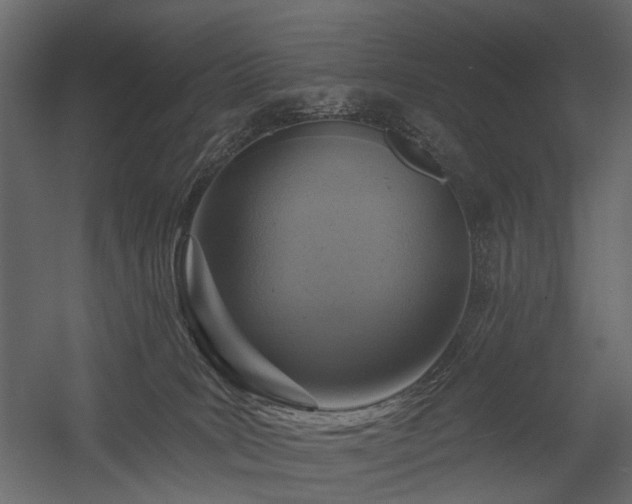 X0000054380035200507291129