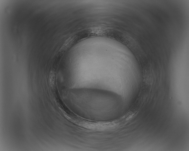X0000054380036200507291129