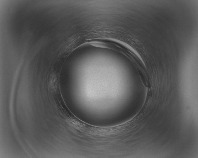 X0000054380037200507291129