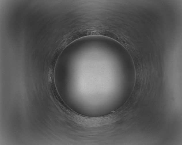 X0000054380038200507291129