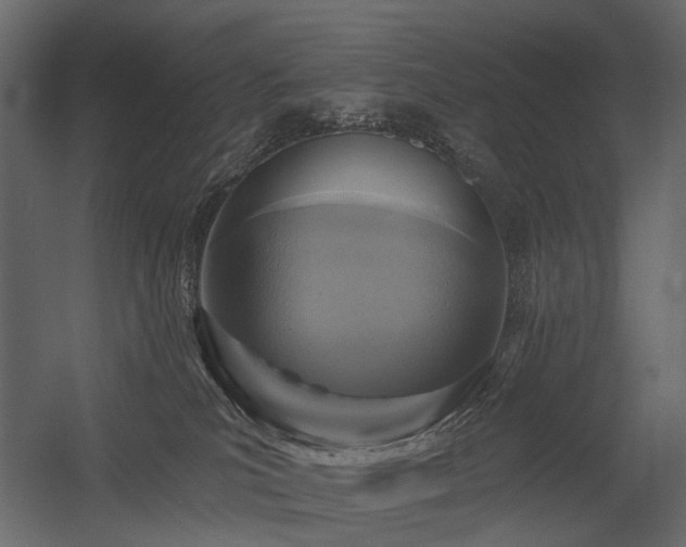 X0000054380039200507291129