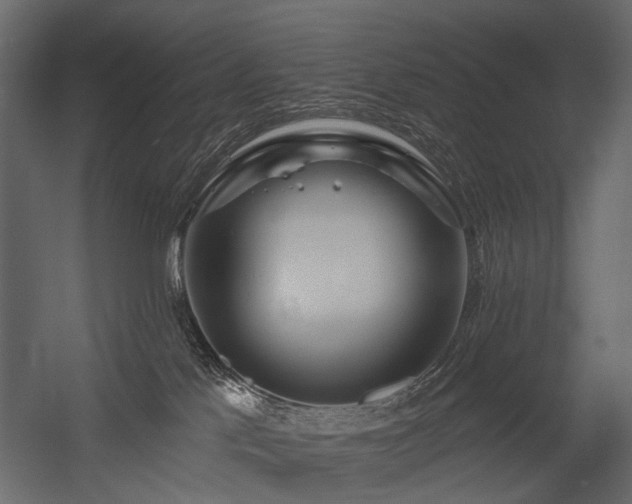 X0000054380041200507291129