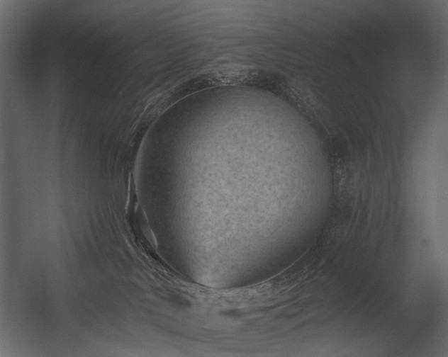 X0000054380042200507291129