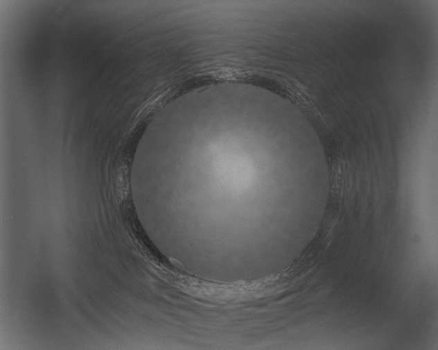 X0000054380043200507291129