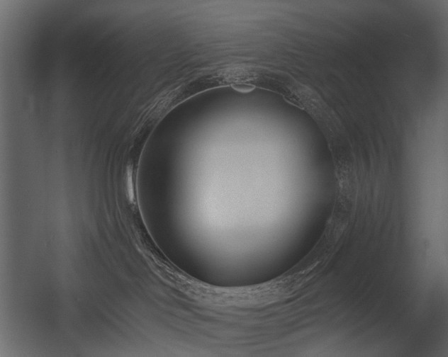 X0000054380046200507291129