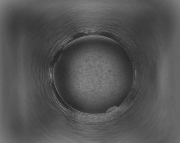 X0000054380048200507291129