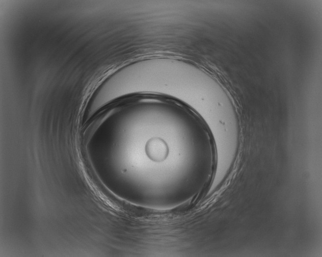 X0000054380049200507291128