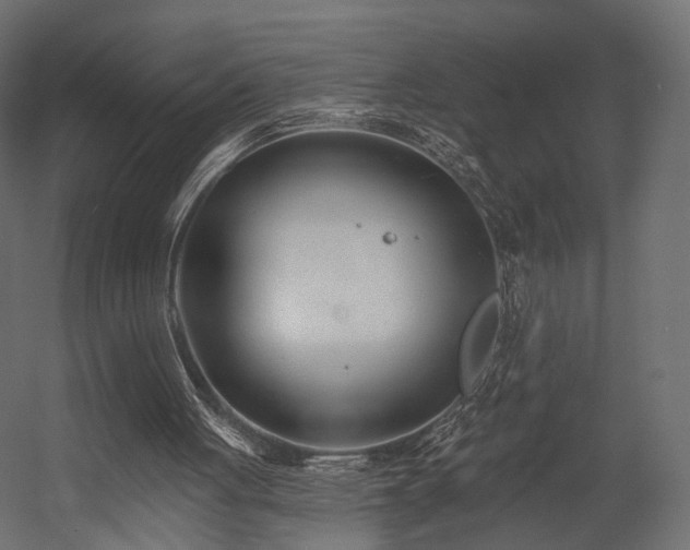 X0000054380051200507291128
