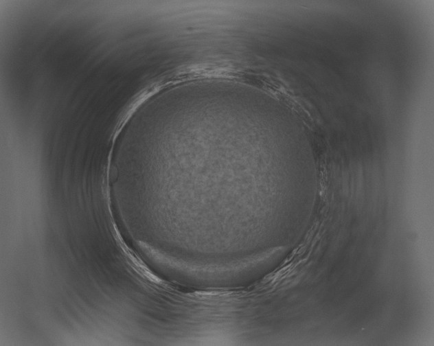 X0000054380052200507291128