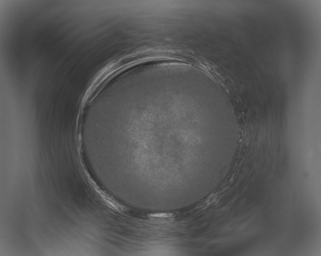 X0000054380053200507291128