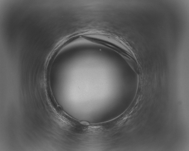 X0000054380055200507291128