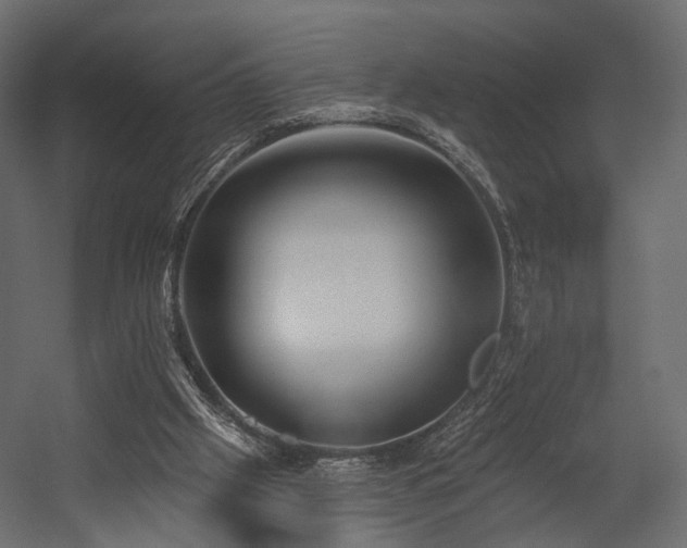 X0000054380057200507291128