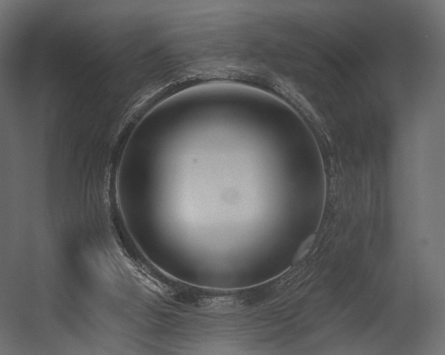 X0000054380058200507291128