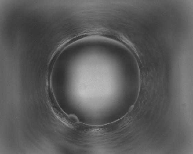 X0000054380059200507291128